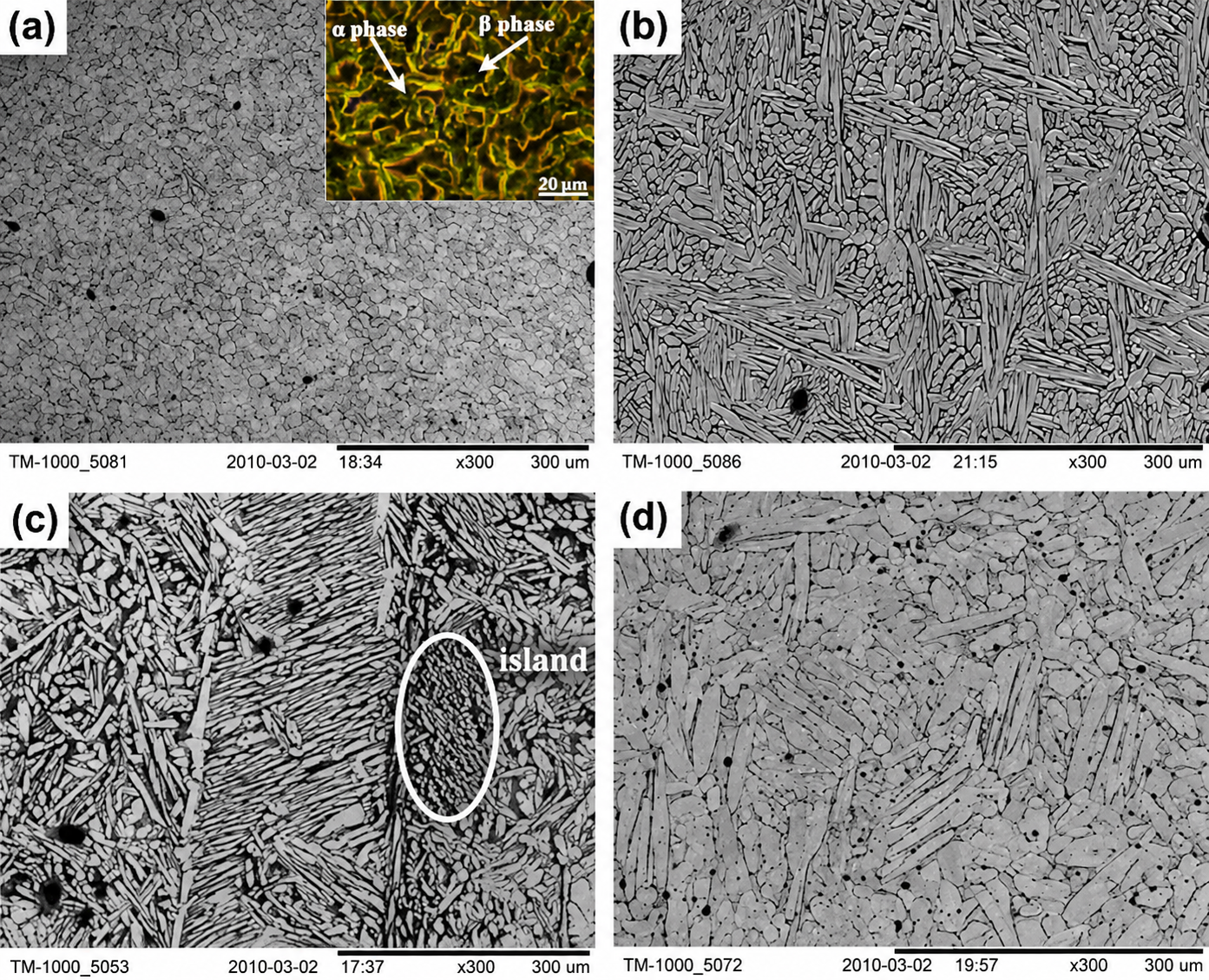 Brass alloy microstructure used in aviation faucet manufacturing